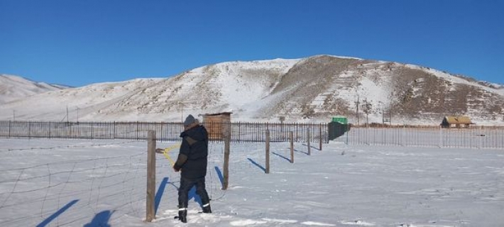 Горхи-Тэрэлж БЦГ нийт 161.6 га талбай чөлөөлжээ